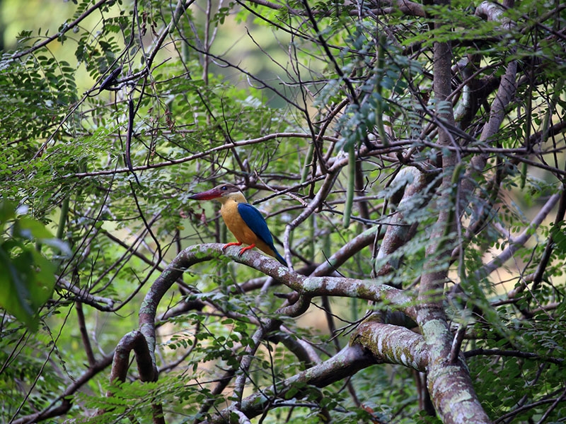 Highlight of Southern Myanmar Tour 5 Days